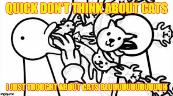 quick don't think about cats | QUICK DON'T THINK ABOUT CATS; I JUST THOUGHT ABOUT CATS BLUUUUUUUUUUUUH | image tagged in quick don't think about cats,asdf movie,funny,barf,cute,cats | made w/ Imgflip meme maker