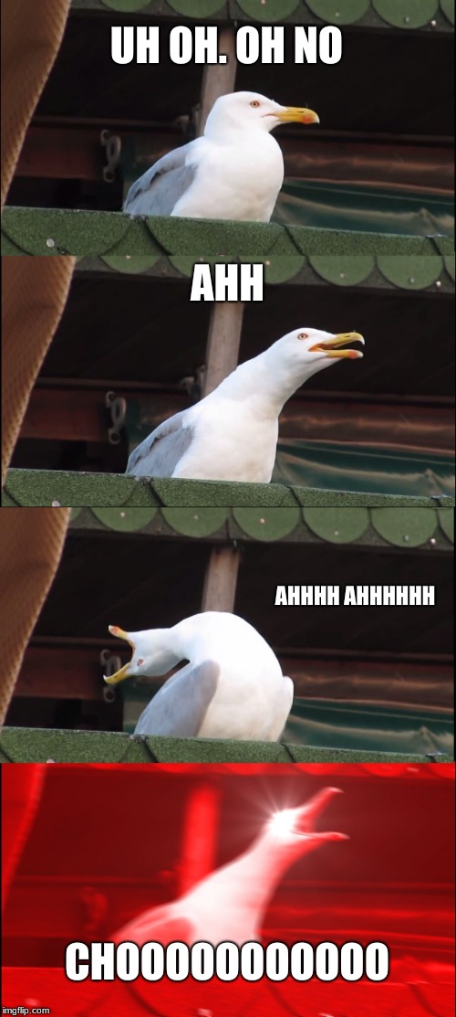Inhaling Seagull Meme | UH OH. OH NO; AHH; AHHHH AHHHHHH; CHOOOOOOOOOOO | image tagged in memes,inhaling seagull | made w/ Imgflip meme maker