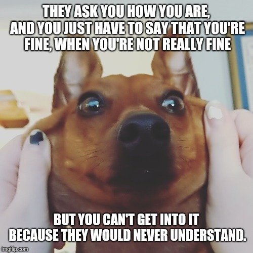 THEY ASK YOU HOW YOU ARE, AND YOU JUST HAVE TO SAY THAT YOU'RE FINE, WHEN YOU'RE NOT REALLY FINE; BUT YOU CAN'T GET INTO IT BECAUSE THEY WOULD NEVER UNDERSTAND. | image tagged in funny | made w/ Imgflip meme maker