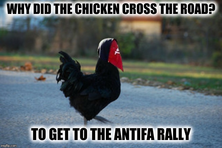 WHY DID THE CHICKEN CROSS THE ROAD? TO GET TO THE ANTIFA RALLY | made w/ Imgflip meme maker