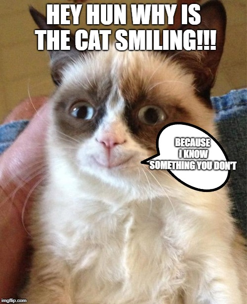 Grumpy Cat Happy | HEY HUN WHY IS THE CAT SMILING!!! BECAUSE I KNOW SOMETHING YOU DON'T | image tagged in memes,grumpy cat happy,grumpy cat | made w/ Imgflip meme maker