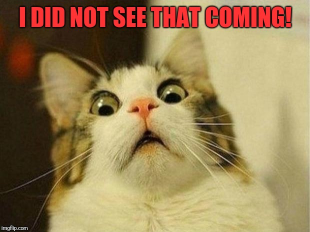 Scared Cat Meme | I DID NOT SEE THAT COMING! | image tagged in memes,scared cat | made w/ Imgflip meme maker