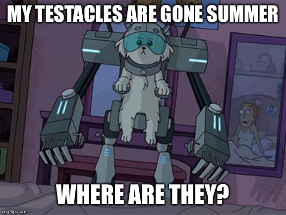 Snowball | MY TESTACLES ARE GONE SUMMER WHERE ARE THEY? | image tagged in snowball | made w/ Imgflip meme maker