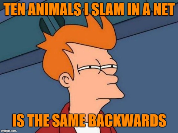 Futurama Fry Meme | TEN ANIMALS I SLAM IN A NET; IS THE SAME BACKWARDS | image tagged in memes,futurama fry | made w/ Imgflip meme maker