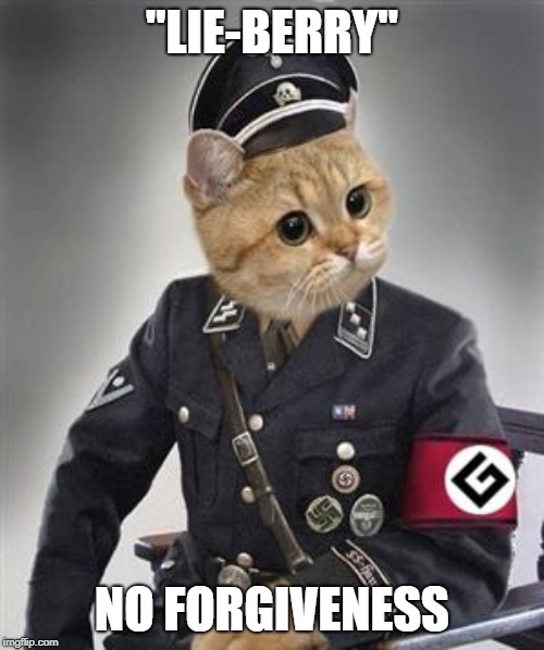 Grammar Nazi Cat | "LIE-BERRY"; NO FORGIVENESS | image tagged in grammar nazi cat | made w/ Imgflip meme maker