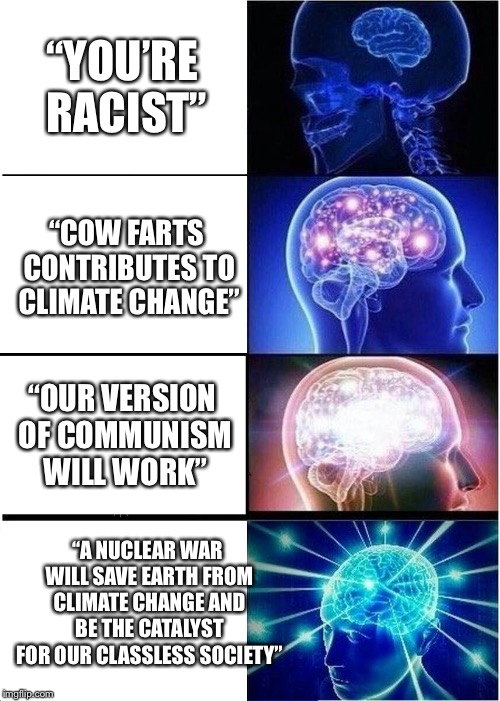 NeoLiberal Minds | “YOU’RE RACIST”; “COW FARTS CONTRIBUTES TO CLIMATE CHANGE”; “OUR VERSION OF COMMUNISM WILL WORK”; “A NUCLEAR WAR WILL SAVE EARTH FROM CLIMATE CHANGE AND BE THE CATALYST FOR OUR CLASSLESS SOCIETY” | image tagged in memes,expanding brain,racism,climate change,communism | made w/ Imgflip meme maker