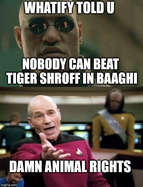 No animals Harmed in BollyWood | WHATIFY TOLD U; NOBODY CAN BEAT TIGER SHROFF IN BAAGHI; DAMN ANIMAL RIGHTS | image tagged in memes,matrix morpheus,picard wtf,bollywood,tigershroff,baaghi | made w/ Imgflip meme maker