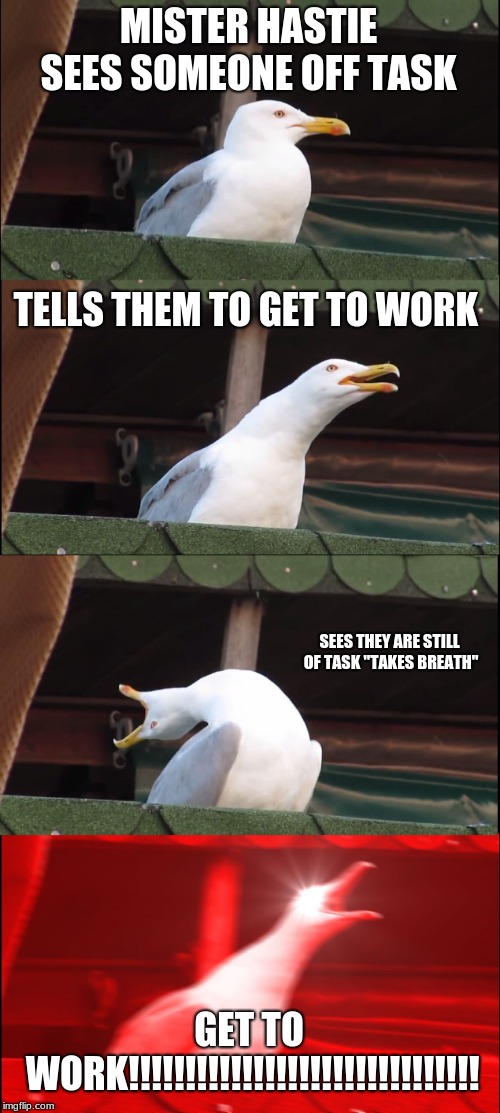 Inhaling Seagull | MISTER HASTIE SEES SOMEONE OFF TASK; TELLS THEM TO GET TO WORK; SEES THEY ARE STILL OF TASK "TAKES BREATH"; GET TO WORK!!!!!!!!!!!!!!!!!!!!!!!!!!!!!!! | image tagged in memes,inhaling seagull | made w/ Imgflip meme maker