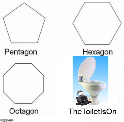 The peak of human evolution | TheToiletIsOn | image tagged in memes,pentagon hexagon octagon | made w/ Imgflip meme maker