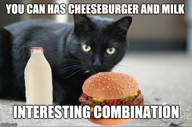 YOU CAN HAS CHEESEBURGER AND MILK INTERESTING COMBINATION | made w/ Imgflip meme maker