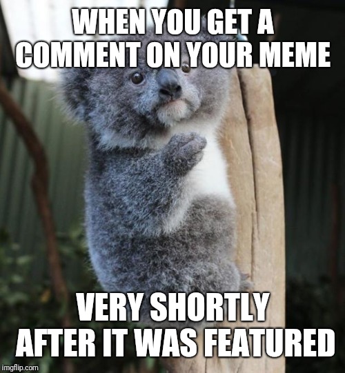 Baby Koala italian gesture | WHEN YOU GET A COMMENT ON YOUR MEME VERY SHORTLY AFTER IT WAS FEATURED | image tagged in baby koala italian gesture | made w/ Imgflip meme maker