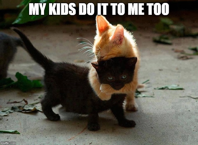 kitten hug | MY KIDS DO IT TO ME TOO | image tagged in kitten hug | made w/ Imgflip meme maker