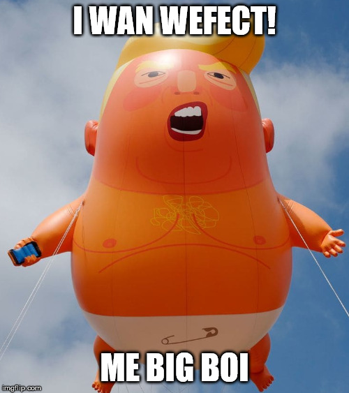 I wanted to do this when the Balloon Trump was a thing | I WAN WEFECT! ME BIG BOI | image tagged in balloon trump,donald trump,donald trump is an idiot,funny meme,too funny,diaper | made w/ Imgflip meme maker