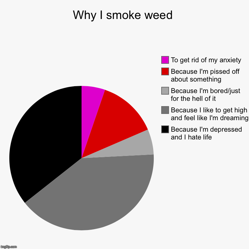 Lol | Why I smoke weed | Because I'm depressed and I hate life, Because I like to get high and feel like I'm dreaming, Because I'm bored/just for  | image tagged in charts,pie charts,weed | made w/ Imgflip chart maker