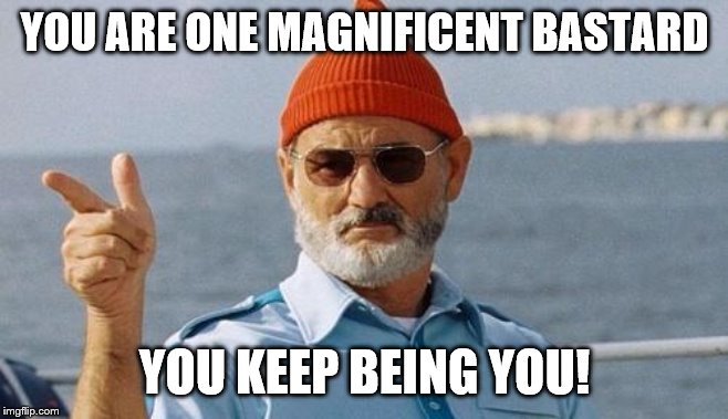 Bill Murray wishes you a happy birthday | YOU ARE ONE MAGNIFICENT BASTARD YOU KEEP BEING YOU! | image tagged in bill murray wishes you a happy birthday | made w/ Imgflip meme maker