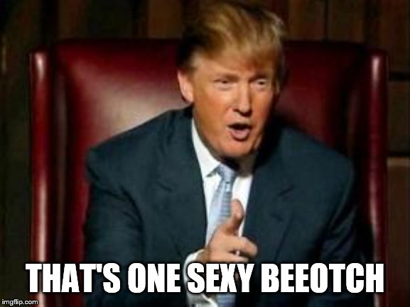 Donald Trump | THAT'S ONE SEXY BEEOTCH | image tagged in donald trump | made w/ Imgflip meme maker