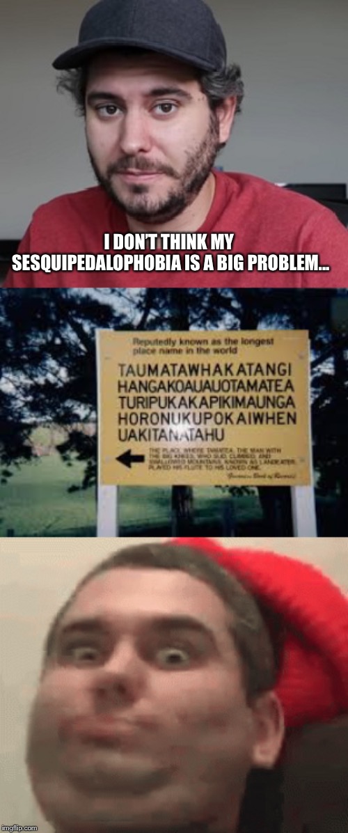 Sesquipedalophobia | I DON’T THINK MY SESQUIPEDALOPHOBIA IS A BIG PROBLEM... | image tagged in memes,sesquipedalophobia | made w/ Imgflip meme maker