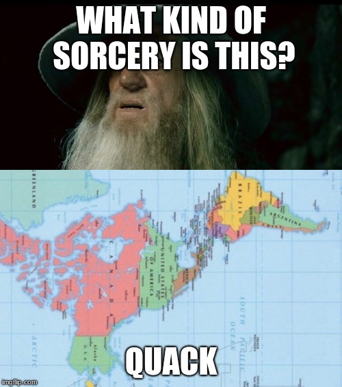 WHAT KIND OF SORCERY IS THIS? QUACK | image tagged in memes,confused gandalf,duck,america | made w/ Imgflip meme maker