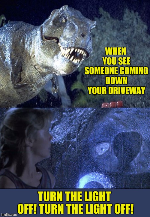 Don't Make A Sound | WHEN YOU SEE SOMEONE COMING DOWN YOUR DRIVEWAY; TURN THE LIGHT OFF! TURN THE LIGHT OFF! | image tagged in jurassic park | made w/ Imgflip meme maker