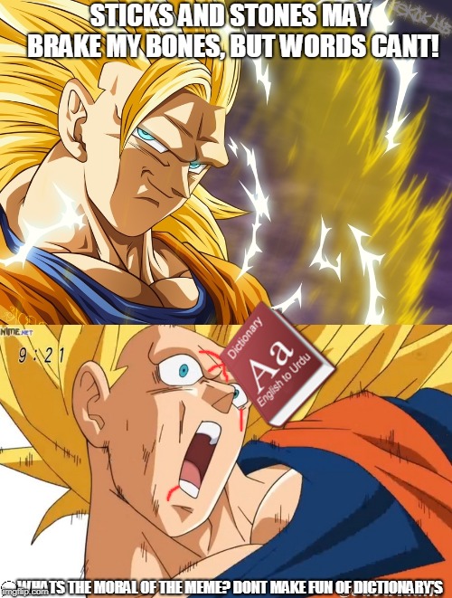dont insult dictionary's | STICKS AND STONES MAY BRAKE MY BONES, BUT WORDS CANT! WHATS THE MORAL OF THE MEME? DONT MAKE FUN OF DICTIONARY'S | image tagged in dragon ball super,dictionary,super saiyan | made w/ Imgflip meme maker