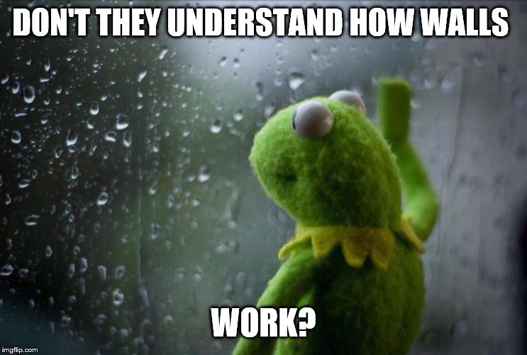 Sad Kermit | DON'T THEY UNDERSTAND HOW WALLS WORK? | image tagged in sad kermit | made w/ Imgflip meme maker