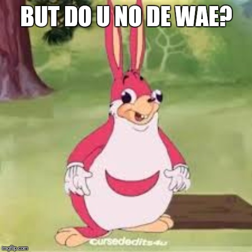 Ugandan chungles | BUT DO U NO DE WAE? | image tagged in ugandan chungles | made w/ Imgflip meme maker