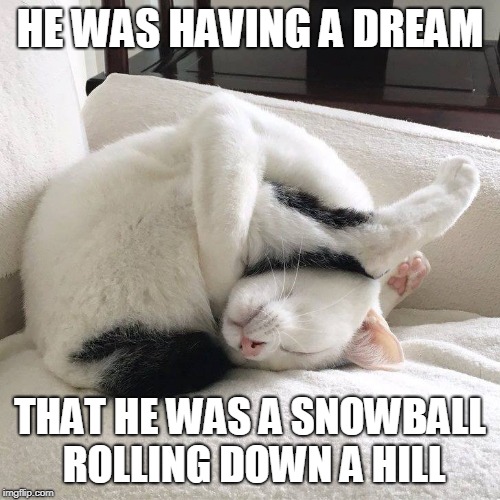 SNOWBALL | HE WAS HAVING A DREAM; THAT HE WAS A SNOWBALL ROLLING DOWN A HILL | image tagged in cats,cat,funny cat,dreaming | made w/ Imgflip meme maker
