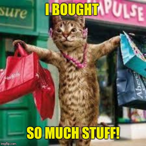 Cat shopping | I BOUGHT SO MUCH STUFF! | image tagged in cat shopping | made w/ Imgflip meme maker