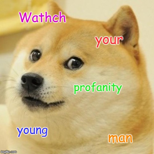 Doge Meme | Wathch; your; profanity; young; man | image tagged in memes,doge | made w/ Imgflip meme maker