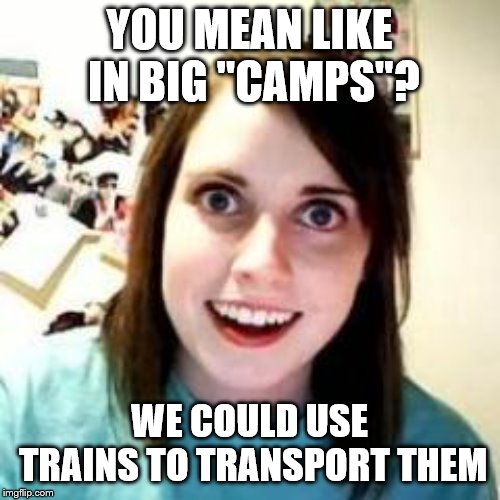 Crazy Girlfriend | YOU MEAN LIKE IN BIG "CAMPS"? WE COULD USE TRAINS TO TRANSPORT THEM | image tagged in crazy girlfriend | made w/ Imgflip meme maker