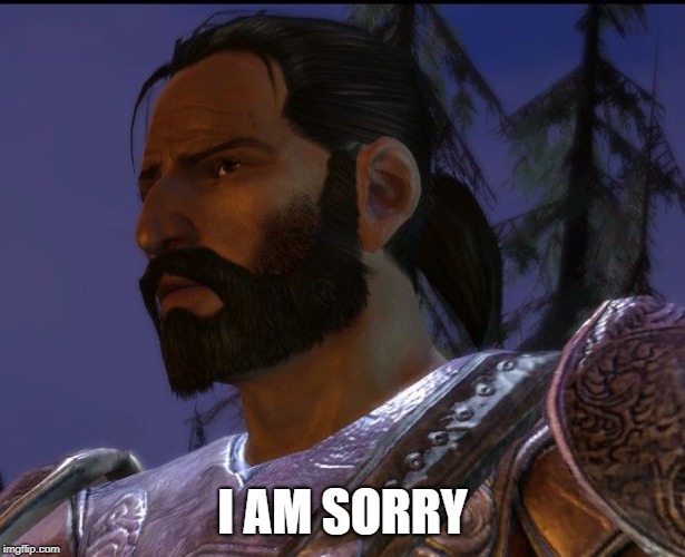 TFW One of the Recruits Dies During The Joining | I AM SORRY | image tagged in dragon age,dragon age origins,before disaster | made w/ Imgflip meme maker