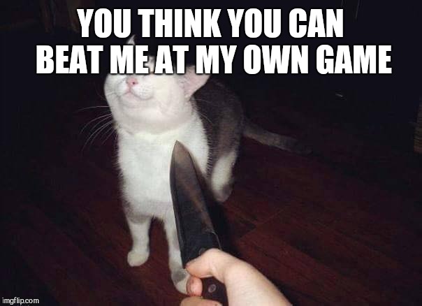 Smug Cat - Knife | YOU THINK YOU CAN BEAT ME AT MY OWN GAME | image tagged in smug cat - knife | made w/ Imgflip meme maker