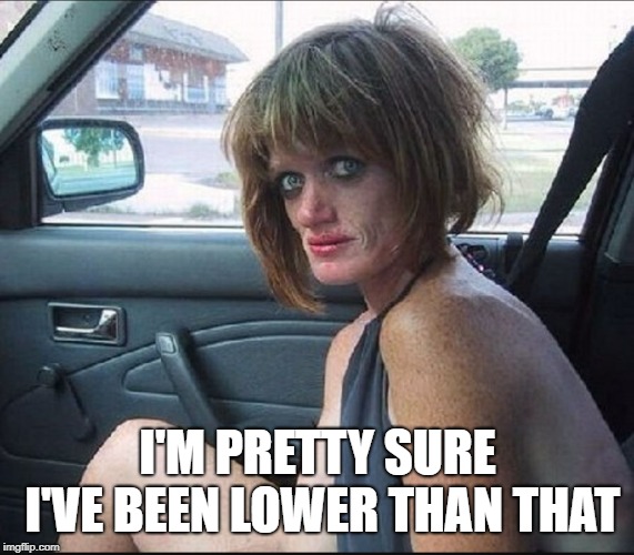 crack whore hooker | I'M PRETTY SURE I'VE BEEN LOWER THAN THAT | image tagged in crack whore hooker | made w/ Imgflip meme maker