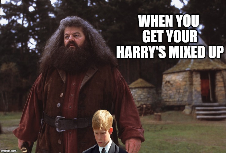 WHEN YOU GET YOUR HARRY'S MIXED UP | image tagged in hagrid  prince harry | made w/ Imgflip meme maker