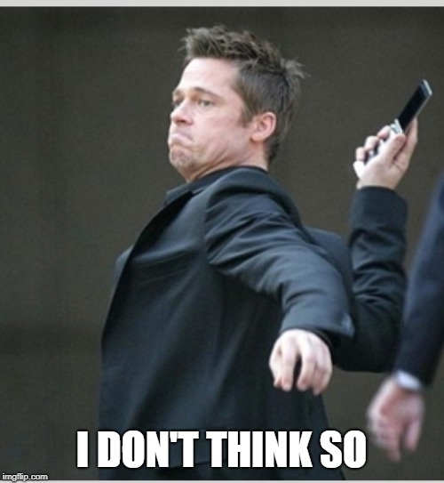 Brad Pitt throwing phone | I DON'T THINK SO | image tagged in brad pitt throwing phone | made w/ Imgflip meme maker