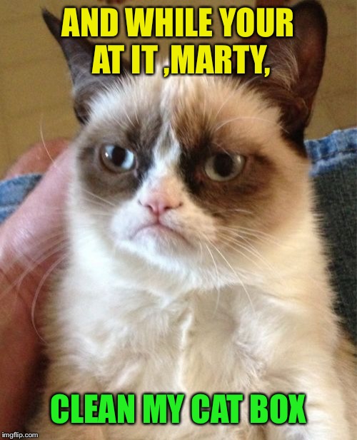 Grumpy Cat Meme | AND WHILE YOUR AT IT ,MARTY, CLEAN MY CAT BOX | image tagged in memes,grumpy cat | made w/ Imgflip meme maker