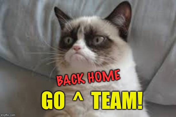 Grumpy cat | BACK HOME GO  ^  TEAM! | image tagged in grumpy cat | made w/ Imgflip meme maker