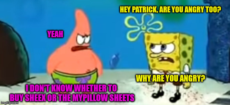 HEY PATRICK, ARE YOU ANGRY TOO? YEAH; WHY ARE YOU ANGRY? I DON'T KNOW WHETHER TO BUY SHEEX OR THE MYPILLOW SHEETS | image tagged in spongebob,patrick star | made w/ Imgflip meme maker