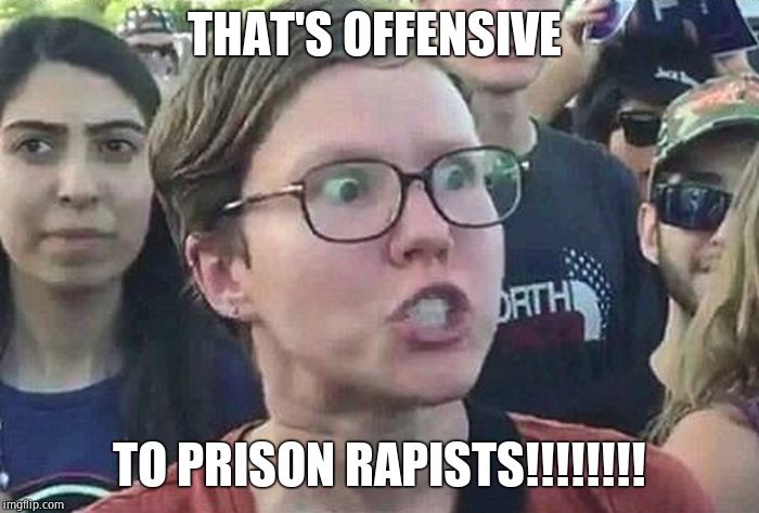Triggered Liberal | THAT'S OFFENSIVE TO PRISON RAPISTS!!!!!!!! | image tagged in triggered liberal | made w/ Imgflip meme maker