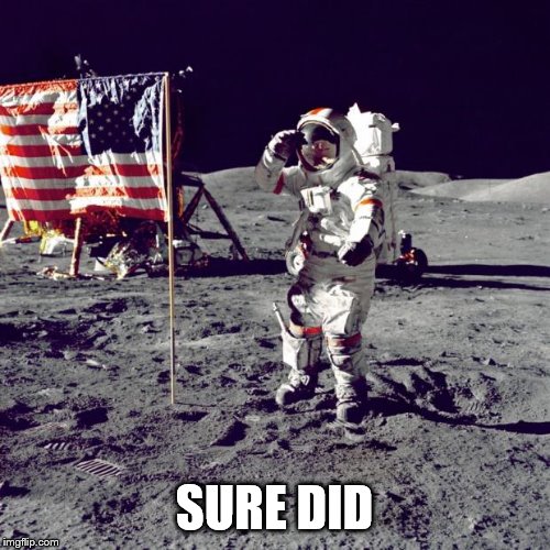 Neil Armstrong | SURE DID | image tagged in neil armstrong | made w/ Imgflip meme maker