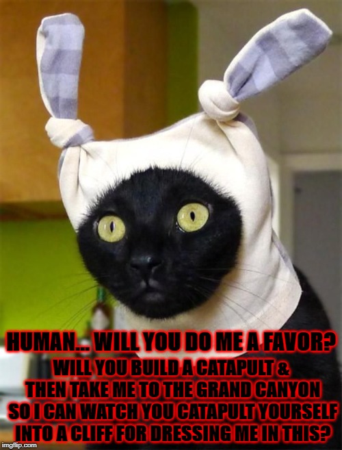 DO ME A FAVOR | HUMAN... WILL YOU DO ME A FAVOR? WILL YOU BUILD A CATAPULT & THEN TAKE ME TO THE GRAND CANYON SO I CAN WATCH YOU CATAPULT YOURSELF INTO A CLIFF FOR DRESSING ME IN THIS? | image tagged in do me a favor | made w/ Imgflip meme maker