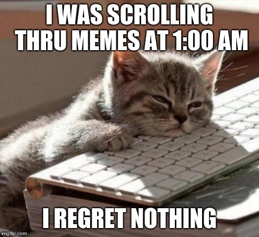 tired cat | I WAS SCROLLING THRU MEMES AT 1:00 AM; I REGRET NOTHING | image tagged in tired cat | made w/ Imgflip meme maker