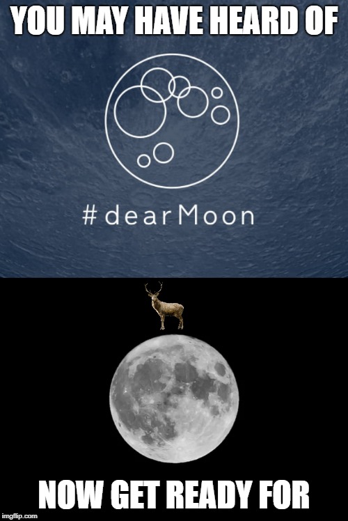Oh dear, deer moon | YOU MAY HAVE HEARD OF; NOW GET READY FOR | image tagged in deer,moon,spacex | made w/ Imgflip meme maker