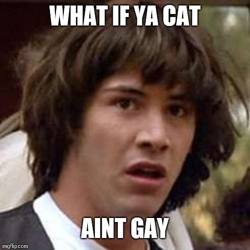 Conspiracy Keanu | WHAT IF YA CAT; AINT GAY | image tagged in memes,conspiracy keanu | made w/ Imgflip meme maker