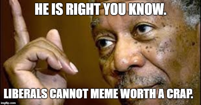 he is right you know  | HE IS RIGHT YOU KNOW. LIBERALS CANNOT MEME WORTH A CRAP. | image tagged in he is right you know | made w/ Imgflip meme maker