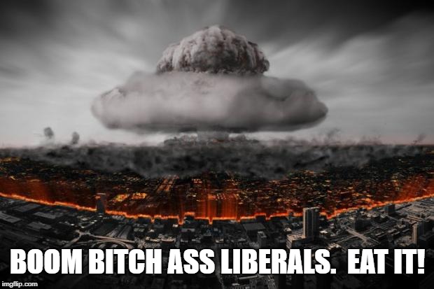 BOOM! | BOOM B**CH ASS LIBERALS.  EAT IT! | image tagged in boom | made w/ Imgflip meme maker