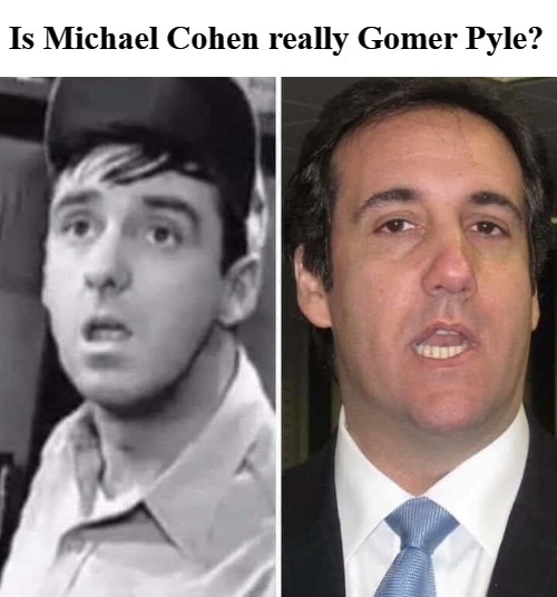 Is Michael Cohen really Gomer Pyle? | Is Michael Cohen really Gomer Pyle? | image tagged in michael cohen,gomer pyle,gooooolly,where's goober | made w/ Imgflip meme maker
