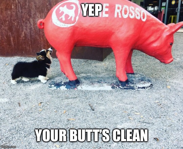 Butt doggo | YEP; YOUR BUTT’S CLEAN | image tagged in laughing,dogs | made w/ Imgflip meme maker