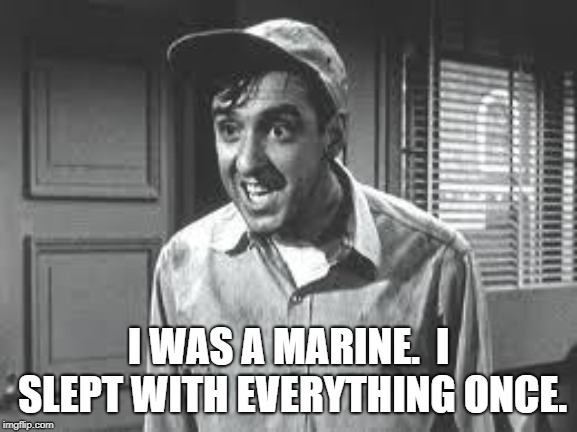Gomer Pyle | I WAS A MARINE.  I SLEPT WITH EVERYTHING ONCE. | image tagged in gomer pyle | made w/ Imgflip meme maker