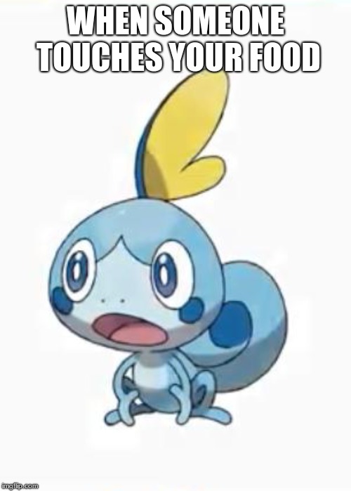 Suprised Sobble | WHEN SOMEONE TOUCHES YOUR FOOD | image tagged in suprised sobble | made w/ Imgflip meme maker